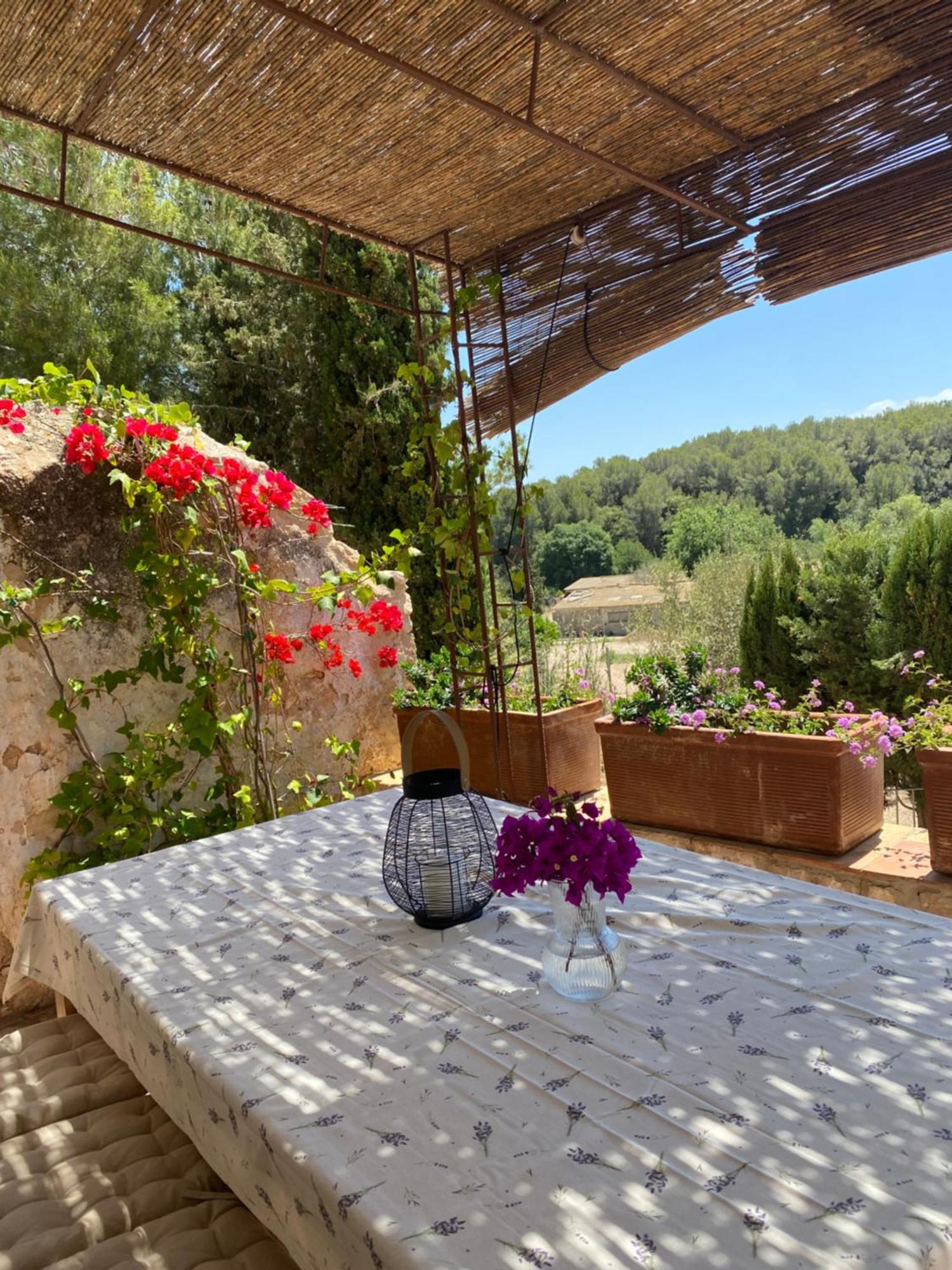 Casa Rural Con Jardin,A 8Km Playa Y En La Naturaleza Taronja&Canyella Ardenya Buitenkant foto